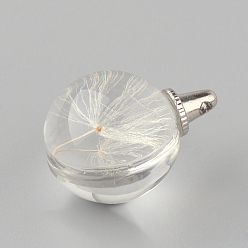 Platinum Round Alloy Glass Pendants, Cadmium Free & Lead Free, with Dried Dandelion Inside, For Dandelion Wish Necklaces Making, Platinum, 25~26x20mm, Hole: 1.5mm