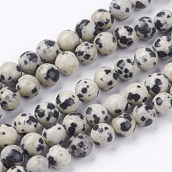 Jaspe Dalmate Dalmatien naturel jaspe brins pierre de perles, ronde, 6mm, Trou: 1mm, Environ 63 pcs/chapelet, 14.9 pouce