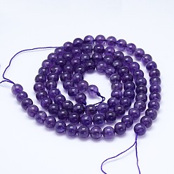Amethyst Natural Amethyst Round Bead Strands, Grade AB+, 12mm, Hole: 1mm, about 32pcs/strand, 15.5 inch