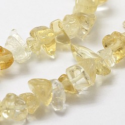 Yellow Natural Citrine Beads Strands, Chip, Yellow, Dyed & Heated, Yellow, 3~5x7~13x2~4mm, Hole: 0.4mm, 34.9 inch