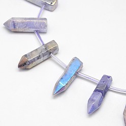Medium Purple Electroplate Gemstone Natural Quartz Crystal Beads Strands, Irregular Shape, Medium Purple, 15~25x6~14x6~12mm, Hole: 1mm, about 25pcs/strand, 15.74 inch