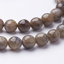 Labradorite Natural Labradorite Beads Strands, Faceted, Round, 6mm, Hole: 0.8mm