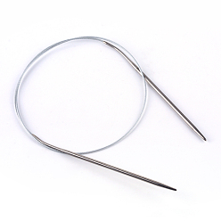 Stainless Steel Color Steel Wire Stainless Steel Circular Knitting Needles and Random Color Plastic Tapestry Needles, More Size Available, Stainless Steel Color, 800x4mm, 2pcs/bag