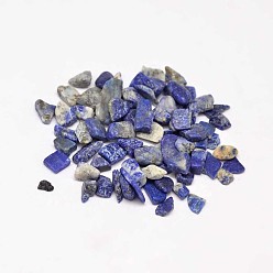 Lapis Lazuli Natural Lapis Lazuli Chip Beads, No Hole/Undrilled, 3~9x1~4mm