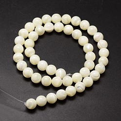 Ivoire Naturelles coquillage perles brins, ronde, blanc crème, 8mm, Trou: 0.8mm, Environ 51 pcs/chapelet, 15.75 pouce