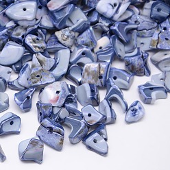 Bleu Acier Copeaux de coquille d'eau douce naturels teints, tessons shell, bleu acier, 9~12x6~15mm, trou: 1 mm, environ 900 pcs / 500 g