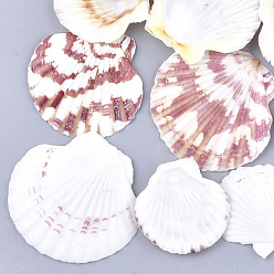 Coquillage De Mer Perles de coquille Saint-Jacques naturelles, perles de coquille de mer, perles non percées / sans trou, couleur de coquillage, 36~51x37~54x3~7mm