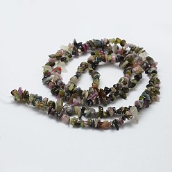 Tourmaline Natural Tourmaline Beads Strands, Chip, Grade B, 3~5x7~13x2~4mm, Hole: 0.4mm, 35 inch