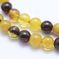 Amber Natural Amber Beads Strands, Round, 6mm, Hole: 1mm, about 63~66pcs/strand, 15.7 inch(40cm)