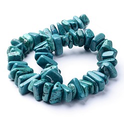 Dark Turquoise Natural Magnesite Bead Strands, Dyed & Heated, Mixed Shapes, Dark Turquoise, 5~30x9~15x4~9mm, Hole: 1mm, about 40~101pcs/strand, 15.9 inch