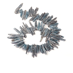 Кианит Натуральные нити из кианита / цианита / дистенового бисера, самородки, форма клыка, 20~41x2~8x4~12 мм, отверстие : 0.5 мм, около 77 шт / нитка, 15.35 дюйм (39 см)