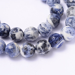 Sodalite Facettes sodalite naturelle rondes rangées de perles, 10mm, Trou: 1mm, Environ 33 pcs/chapelet, 14.9 pouce