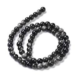Obsidian Natural Silver Obsidian Beads Strands, Round, 6mm, Hole: 1mm, about 66pcs/strand, 15.55''(39.5cm)