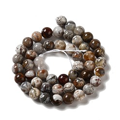 Mexican Agate Natural Mexican Agate Beads Strands, Round, 8mm, Hole: 1mm, about 49pcs/strand, 15.35''(39cm)