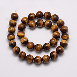 Tiger Eye Natural & Dyed Tiger Eye Bead Strands, Grade AB, Round, 16mm, Hole: 1.5mm, about 25pcs/strand, 14.9 inch~15.5 inch