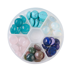 Mixed Stone Natural & Synthetic Mixed Gemstone Cabochons, Half Round/Dome, 12x5mm, about 8pcs/compartment, 48pcs/box