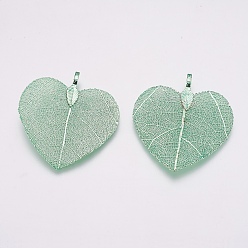 Couleur Mélangete Pendentifs de feuilles naturelles, avec les accessoires en laiton, cœur, couleur mixte, 45~48x40~41x0.6mm, Trou: 3x6mm