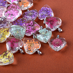 Platinum Heart Alloy Glass Pendants, Cadmium Free & Lead Free, with Dried Flower Inside, Platinum, 27~28x20x11~12mm, Hole: 4.5x2.5mm