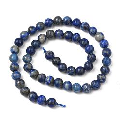 Lapis Lazuli Natural Lapis Lazuli Bead Strands, Round, 8mm, Hole: 1mm, about 45~49pcs/strand, 15.5 inch(395mm)