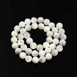 White Shell Natural White Shell Bead Strands, Round, 8.5~9mm, Hole: 0.7mm, about 43pcs/strand, 14.96 inch(38cm)