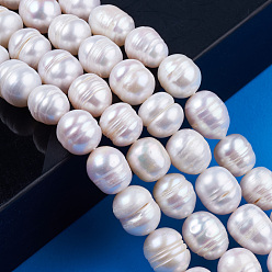 Coquillage De Mer Brins de perles de culture d'eau douce naturelles, riz, couleur de coquillage, 10~12x9~10mm, Trou: 0.7mm, Environ 32~33 pcs/chapelet, 13.39 pouce (34 cm)