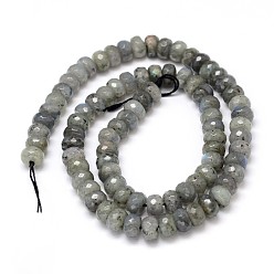 Labradorite Natural Labradorite Rondelle Bead Strands, Faceted, 8x4~5mm, Hole: 1mm, about 89pcs/strand, 16 inch