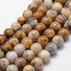 Crazy Agate Natural Crazy Agate Beads Strands, Round, 12mm, Hole: 1mm, about 31pcs/strand, 15 inch
