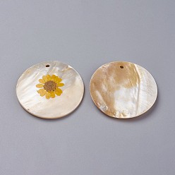 Coquillage D'eau Douce Pendentifs de coquillages d'eau douce, avec des fleurs séchées, plat rond, 50~51x2~6mm, Trou: 2.5~3mm