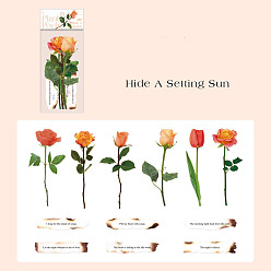 Orange 12Pcs 12 Styles Flower Paper Self-Adhesive Decorative Stickers, for Card-Making, Scrapbooking, Diary, Planner, Envelope & Notebooks, Orange, 70~150mm, 1pc/style