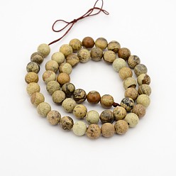 Picture Jasper Natural Picture Jasper Round Bead Strands, 4mm, Hole: 1mm, about 98pcs/strand, 15.7 inch