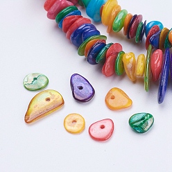 Mixed Color Natural Shell Chips Beads Strands, Dyed, Mixed Color, 5~18x4~10x1~4mm, Hole: 1mm, about 31.4 inch(80cm)