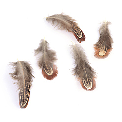 Brown Chicken Feather Costume Accessories, Dyed, Brown, 40~80x10~20mm