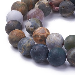 Ocean Jasper Natural Ocean Agate/Ocean Jasper Beads Strands, Frosted, Round, 6~7mm, Hole: 0.8mm, about 63pcs/strand, 15.1 inch(38.5cm)