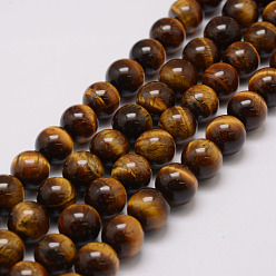 Tiger Eye Natural & Dyed Tiger Eye Bead Strands, Grade AB, Round, 16mm, Hole: 1.5mm, about 25pcs/strand, 14.9 inch~15.5 inch