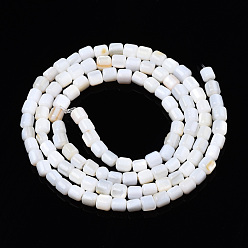 Freshwater Shell Natural Freshwater Shell Beads Strands, Column, 3.5x3.5mm, Hole: 0.8mm, about 111~112pcs/strand, 14.76 inch~14.96 inch(37.5~38cm)