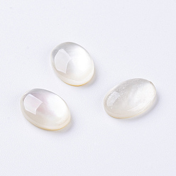Shell Shell Cabochons, Oval, 18x13x4.5mm