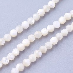 Autres Coquillages De Mer Chapelets de perles de coquillage, facette, ronde, 3~3.5mm, Trou: 0.5mm, Environ 115~130 pcs/chapelet, 14.5~16.1 pouce (37~41 cm)