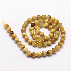 Gold Natural Tiger Eye Bead Strands, Dyed & Heated, Round, Gold, 12mm, Hole: 1mm, about 31pcs/strand, 14.9 inch~15.1 inch