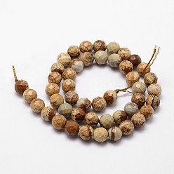 Picture Jasper Natural Picture Jasper Beads Strands, Faceted, Round, 10mm, Hole: 1mm, about 37pcs/strand, 14.9 inch~15.1 inch