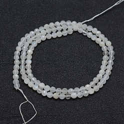 White Natural White Moonstone Beads Strands, Faceted, Round, White, 3mm, Hole: 0.5mm, about 113pcs/strand, 15.35 inch(39cm)