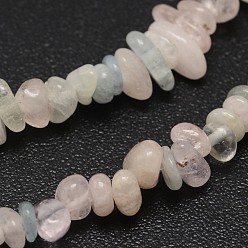 Morganite Chips Natural Colorful Morganite Beads Strands, Tumbled Stone, 3~8x3~12x3~5mm, Hole: 1mm, about 32 inch
