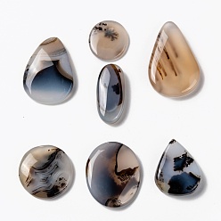 Dendritic Agate Natural Dendritic Agate Cabochons, Teardrop & Oval & Round, 21~39x15~27x3~8mm
