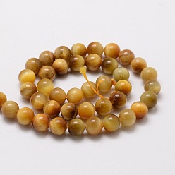Gold Natural Tiger Eye Round Beads Strands, Dyed, Gold, 6mm, Hole: 1mm, about 62pcs/strand, 15.7 inch
