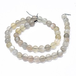 Grey Moonstone Natural Grey Moonstone Beads Strands, Round, 10mm, Hole: 1mm, about 38~40pcs/strand, 15.7 inch(40cm)