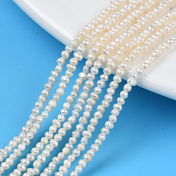 Seashell Color Natural Cultured Freshwater Pearl Beads Strands, Potato, Seashell Color, 2~2.5x2~2.5x2~2.5mm, Hole: 0.5mm, about 146~149pcs/strand, 13.78 inch(35cm)