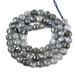 Labradorite Natural Labradorite Beads Strands, Faceted, Flat Round, 6x4.5mm, Hole: 0.8mm, about 59~60pcs/strand, 14.17~14.57 inch(36cm~37cm)