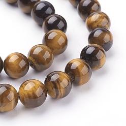 Goldenrod Natural Tiger Eye Beads Strands, Round, Goldenrod, 10mm, Hole: 1mm, about 19pcs/strand, 7.4 inch