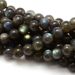 Labradorite Natural Gemstone Labradorite Round Beads Strands, 12mm, Hole: 1mm, about 32pcs/strand, 15.5 inch