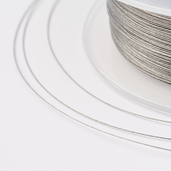 Stainless Steel Color Steel Wire, Silver, Stainless Steel Color, 0.25mm
