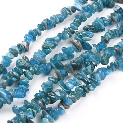 Apatite Natural Apatite Beads Strands, Chip, Deep Sky Blue, 5~13x3~8mm, Hole: 0.6mm, 33~33.4 inch(84~85cm)